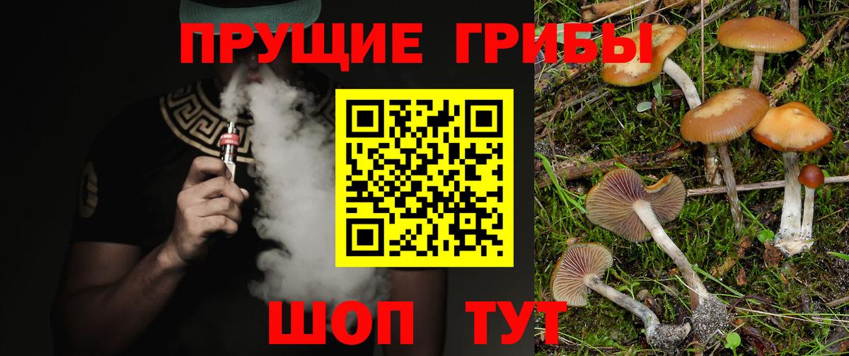 Галлюциногенные грибы Psilocybe  Вход с VPN  где можно купить наркотик  Галлюциногенные грибы Psilocybine cubensis  Россошь 